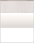 Business Voucher Check Stock by Compuchecks