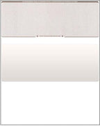 Business Voucher Check Stock by Compuchecks