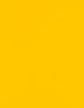 LUXPaper 8.5" x 11" Paper | Letter Size | Sunflower Yellow | 80lb. Text | 500 by LUXPaper