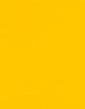 LUXPaper 8.5" x 11" Paper | Letter Size | Sunflower Yellow | 80lb. Text | 1 by LUXPaper