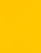 LUXPaper 8.5" x 11" Paper | Letter Size | Sunflower Yellow | 80lb. Text | 1 by LUXPaper