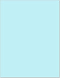 NextDayLabels - Pack of 500 Sheets 8-1/2" x 11" Letter Size CFB NCR Paper by NextDayLabels