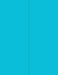 NextDayLabels - 8-1/2 x 11 Neon Color High Light Fluorescent Labels by NextDayLabels