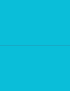 NextDayLabels - 8-1/2 x 11 Neon Color High Light Fluorescent Labels by NextDayLabels