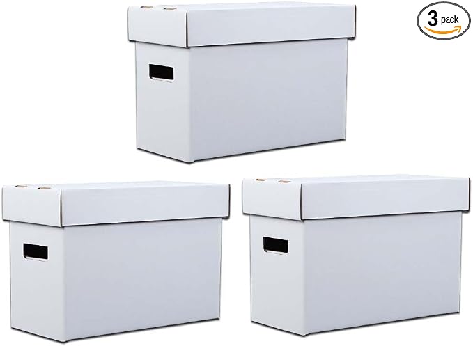 ANDPLAY 3 PCS Comic Book Storage Comic Book Box Holds 150-175 Comics by ANDPLAY