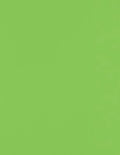 LUXPaper 8.5" x 11" Paper | Letter Size | Limelight Green | 80lb. Text | 50 Qty by LUXPaper