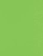 LUXPaper 8.5" x 11" Paper | Letter Size | Limelight Green | 80lb. Text | 50 Qty by LUXPaper