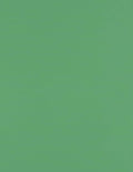 LUXPaper 8.5" x 11" Paper | Letter Size | Holiday Green | 80lb. Text | 50 Qty by LUXPaper