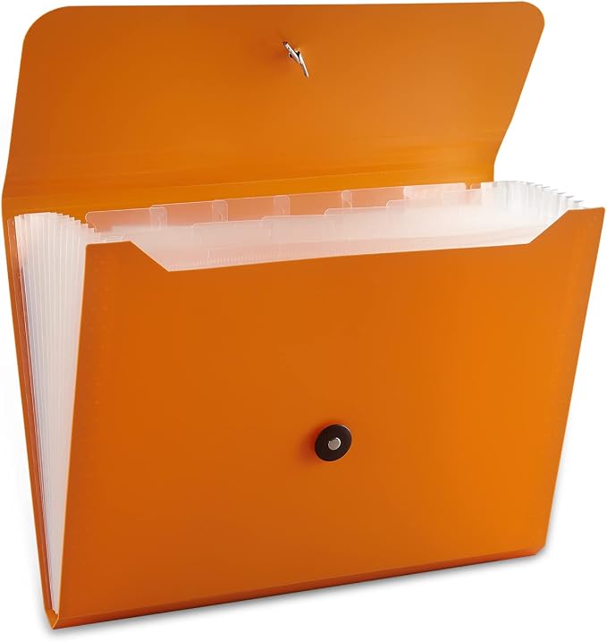 Nicfaec Expanding File Folder, 13 Pockets, Polypropylene by Nicfaec