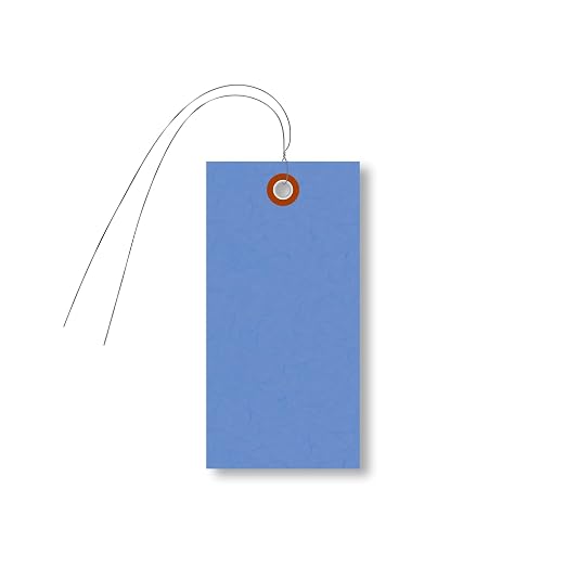 SmartSign Blue Tyvek Shipping Tags by SmartSign