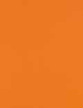 LUXPaper 8.5" x 11" Paper | Letter Size | Mandarin Orange | 80lb. Text | 250 Qty by LUXPaper