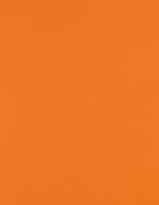 LUXPaper 8.5" x 11" Paper | Letter Size | Mandarin Orange | 80lb. Text | 250 Qty by LUXPaper