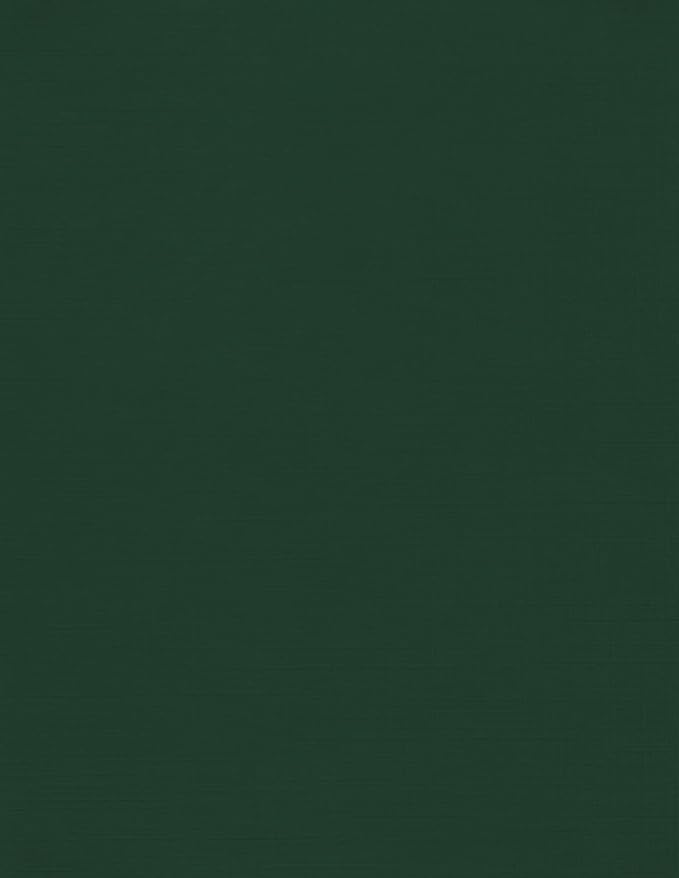 LUXPaper 8.5" x 11" Cardstock | Letter Size | Green Linen | 100lb. Cover | 500 by LUXPaper