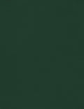 LUXPaper 8.5" x 11" Cardstock | Letter Size | Green Linen | 100lb. Cover | 1 by LUXPaper