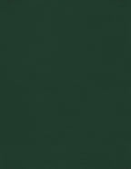 LUXPaper 8.5" x 11" Cardstock | Letter Size | Green Linen | 100lb. Cover | 1 by LUXPaper