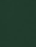 LUXPaper 8.5" x 11" Cardstock | Letter Size | Green Linen | 100lb. Cover | 250 by LUXPaper