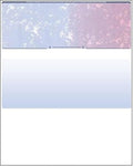 Business Voucher Check Stock by Compuchecks