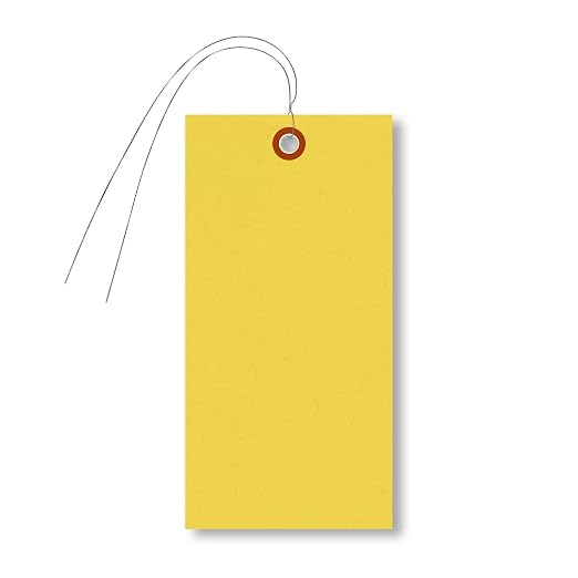 SmartSign Blank Tyvek Shipping Tags by SmartSign