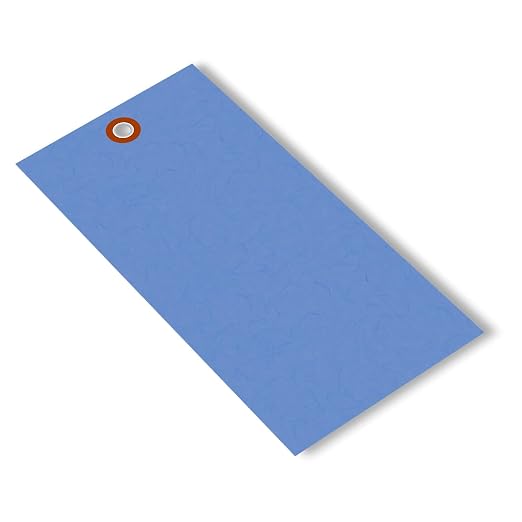 SmartSign Blue Blank Tyvek Shipping Tags by SmartSign