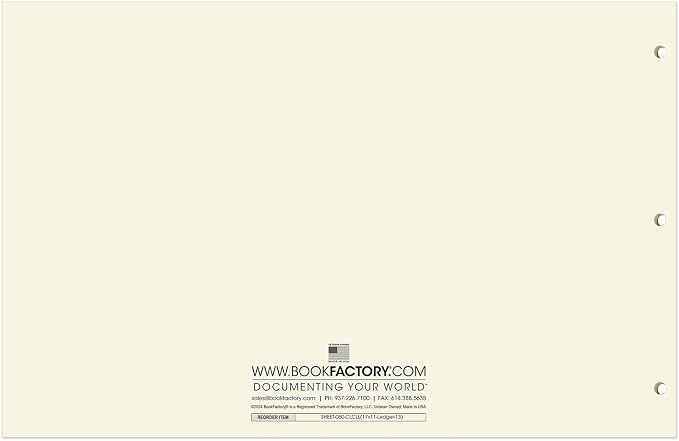 BookFactory Ledger Sheets/Large 13 Column Accounting Ledger Columnar Loose Leaf - Image 3