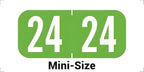 MINI 2024 Year Stickers, Doctor Stuff 2024 Chart Stickers, Light Green Color by DoctorStuff