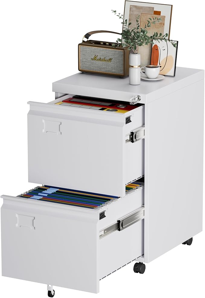 METAN 2 Drawer Vertical File Cabinet by METAN