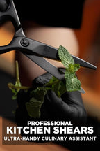 Dalstrong Japanese Stainless Steel Ambidextrous Kitchen Scissors - Image 2