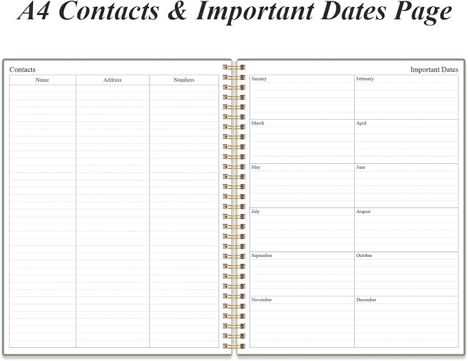 Daily Planner Undated - Image 4
