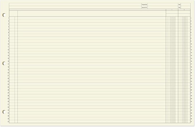 BookFactory Ledger Sheets/Large 2 Column Accounting Ledger Columnar Loose Leaf - Image 2