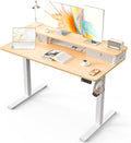 Kingant 48 x 24 Inch Electric Standing Desk by KINGANT