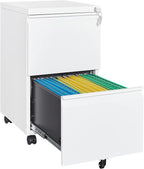 Letaya 2 Drawer Mobile File Cabinet by LetayaMetalCabinets
