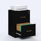 GFGWXW 2 Drawer Vertical File Cabinet - Image 3