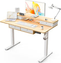 Kingant 48 x 24 Inch Electric Standing Desk by KINGANT
