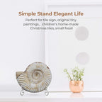TR-LIFE Plate Stands for Display - Image 5