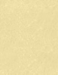 LUXPaper 8.5" x 11" Paper | Letter Size | Gold Parchment | 60lb. Text | 50 Qty by LUXPaper