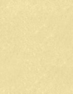 LUXPaper 8.5" x 11" Paper | Letter Size | Gold Parchment | 60lb. Text | 50 Qty by LUXPaper