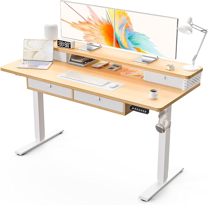 Kingant 55 x 24 Inch Electric Standing Desk by KINGANT