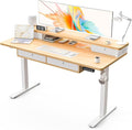 Kingant 55 x 24 Inch Electric Standing Desk by KINGANT
