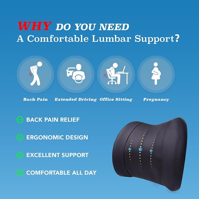 Lofty Aim Lumbar Support Pillow - Image 3