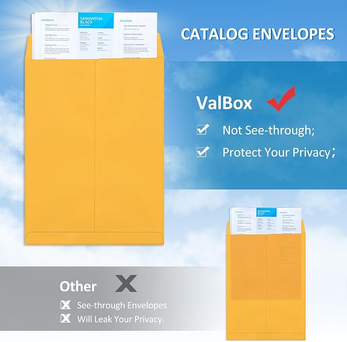 ValBox 6x9 Self Seal Catalog Security Envelopes 250 Count Small Brown Kraft - Image 5