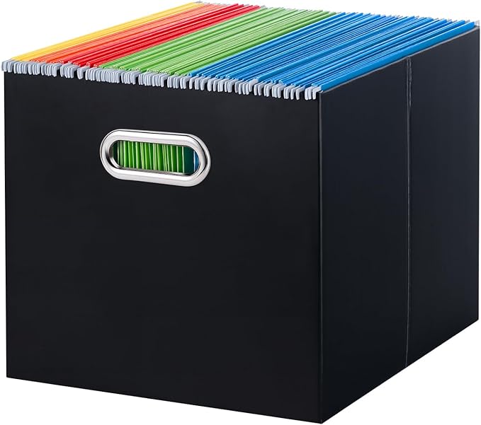 Oterri Cardboard File Organizer Box by Oterri