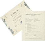 Best Paper Greetings Parchment Paper - Image 7