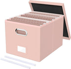 Oterri File Organizer Box with Lid, Portable Hanging File Box by Oterri