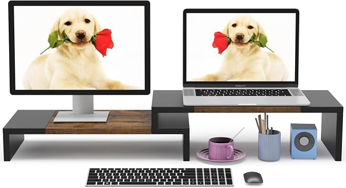 WESTREE Dual Monitor Stand by WESTREE