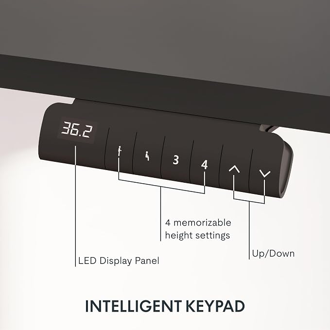 FLEXISPOT E6 3-Stage Dual Motor Electric Standing Desk 55 x 28 Sit Stand Up Desk - Image 4