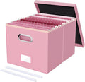 Oterri File Organizer Box, Filing Box by Oterri