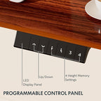 FLEXISPOT EN1 One-Piece Standing Desk - Image 4