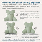 Ailuteie Ergonomic Lumbar Support Pillow – Multi-Functional Back Cushion - Image 8