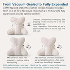 Ailuteie Lumbar Support Pillow – Multi-Functional Ergonomic Back Cushion - Image 8