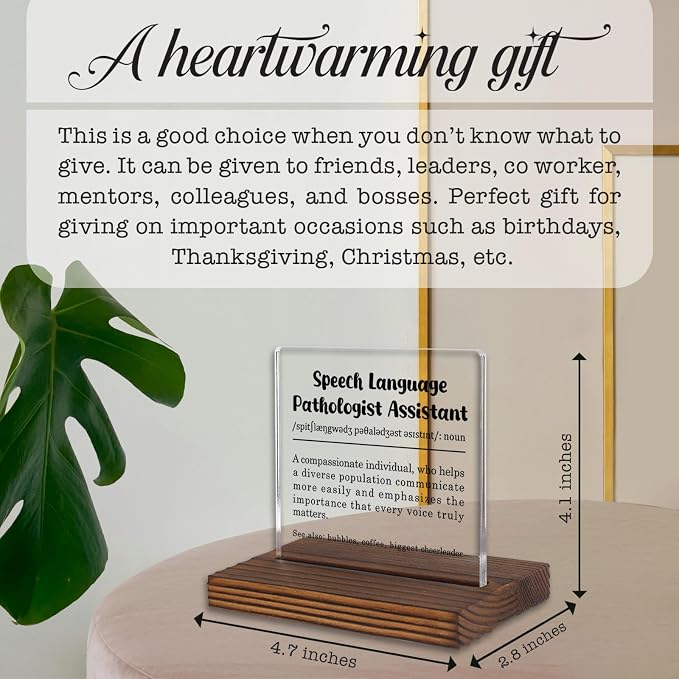 Speech Language Pathologist Assistant Gift Desk Sign, Appreciation Decor Plaque - Image 4